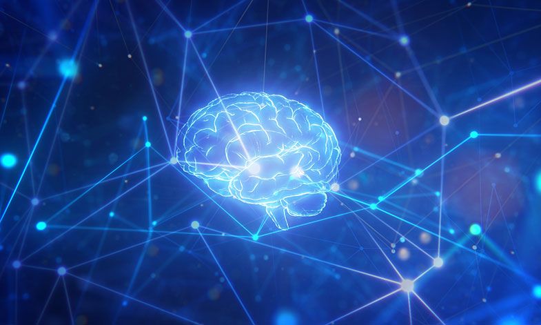 Học tập não bộ của con người để xây dựng mô hình AI tiên tiến